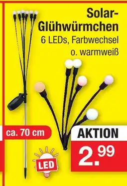 Zimmermann Solar-glühwürmchen Angebot