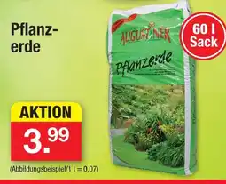Zimmermann Augustiner pflanzerde Angebot