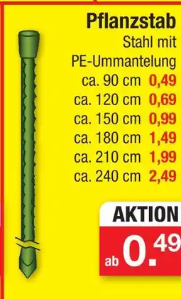 Zimmermann Pflanzstab Angebot