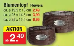 Zimmermann Blumentopf flowers Angebot
