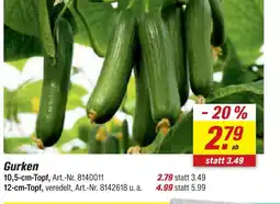 toom Baumarkt Gurken Angebot
