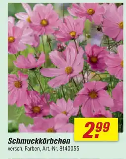 toom Baumarkt Schmuckkörbchen Angebot