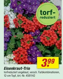 toom Baumarkt Eisenkraut-trio Angebot