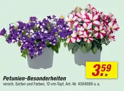 toom Baumarkt Petunien-besonderheiten Angebot