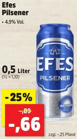 Thomas Philipps Efes Pilsener Angebot