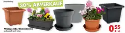 Mäc Geiz Pflanzgefäße/Blumenkästen Angebot