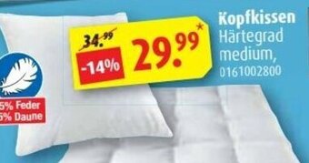 ROLLER Kopfkissen Angebot