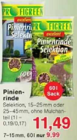 Jawoll Pinienrinde Angebot