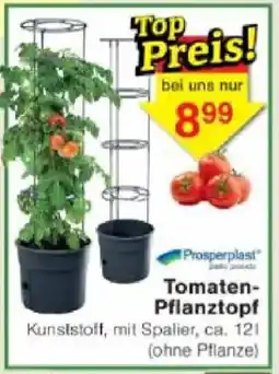 Jawoll Prosperplast Tomaten Pflanztopf Angebot