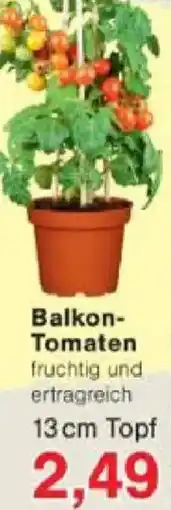 Jawoll Balkon Tomaten Angebot