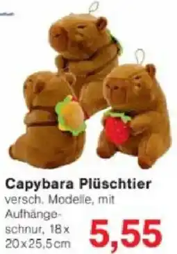 Jawoll Capybara Plüschtier Angebot