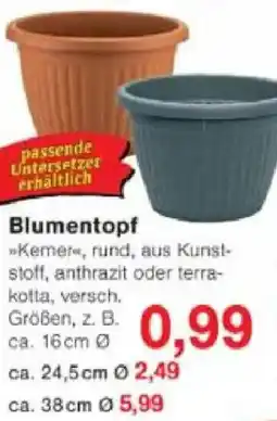 Jawoll Blumentopf Angebot