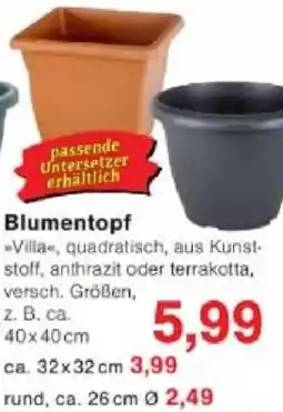 Jawoll Blumentopf Angebot