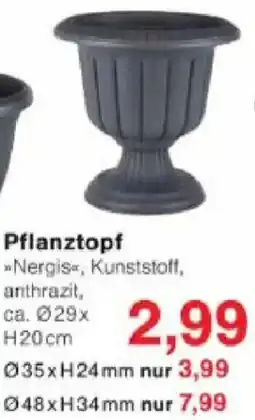 Jawoll Pflanztopf Angebot