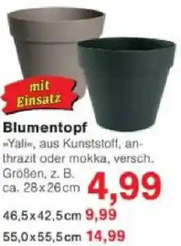 Jawoll Blumentopf Angebot