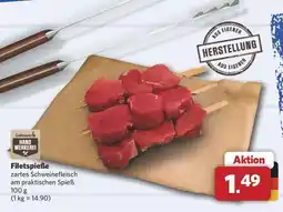 Combi Filetspieße Angebot
