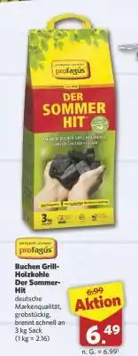 Combi Buchen Grill-Holzkohle Der Sommer-Hit Angebot