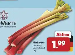 Combi Rhabarber Angebot