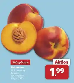 Combi Nektarinen Angebot