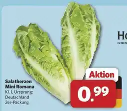 Combi Salatherzen Mini Romana Angebot