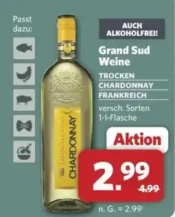 Combi Grand Sud Weine Angebot
