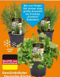 Globus Baumarkt Gewürzkräuter Deutsche Küche Angebot