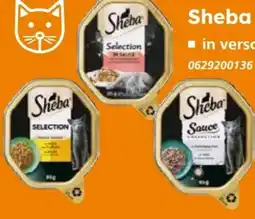 Globus Baumarkt Sheba Katzenfutter Angebot