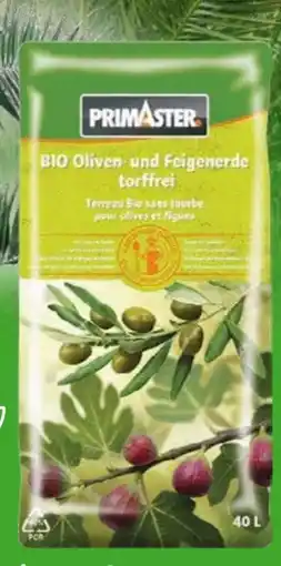 Globus Baumarkt Primaster Bio Oliven & Feigenerde Angebot