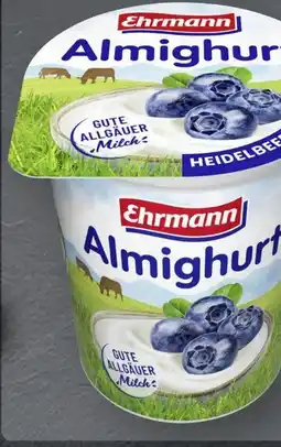 Scheck-in-Center Ehrmann Almighurt Angebot