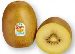 Scheck-in-Center Zespri Jumbo Kiwi Gold Angebot