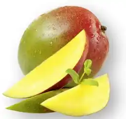 Scheck-in-Center Mango Angebot