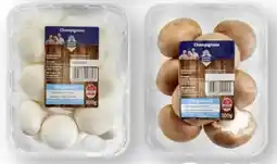 Scheck-in-Center Unsere Heimat Champignons Angebot