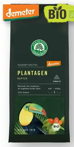 Scheck-in-Center Lebensbaum Bio Plantagen Kaffee Angebot