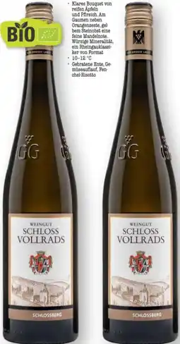 Scheck-in-Center Schloss Vollrads Bio Schlossberg Angebot