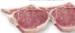 Scheck-in-Center Iberico-Krone Angebot