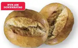 Scheck-in-Center Scheck-in Bäckerei Ofenfrische Brötchen Angebot