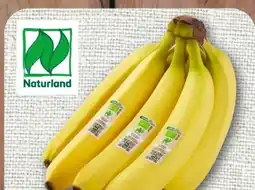 nahkauf Rewe Bio Bio-Bananen Angebot