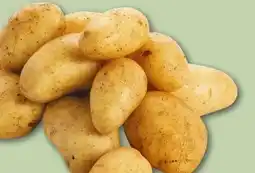 REWE Center Rewe Beste Wahl Speisekartoffeln Angebot