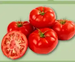 REWE Center Fleischtomaten Angebot