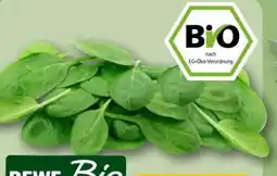 REWE Center Rewe Bio Baby Spinat Angebot