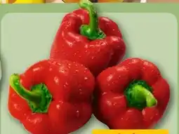 REWE Center Rote Paprika Angebot
