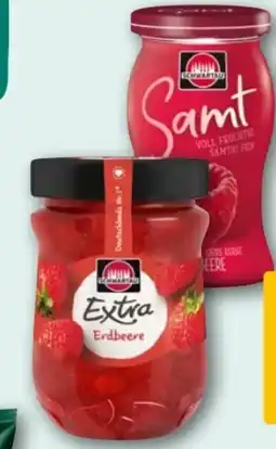 REWE Center Schwartau Samt Himbeere Angebot