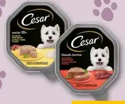 REWE Center Cesar Hundenahrung Angebot