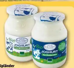 REWE Center Upländer Bauern Molkerei Bio Joghurt aus Weidemilch Mild Angebot