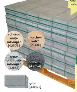 BayWa Bau & Garten Rechteckpflaster Angebot