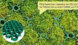 BayWa Bau & Garten Rasenwabe Angebot