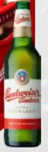 trinkgut Budweiser Budvar (CZ) Premium Lager Angebot