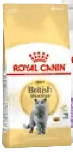 BayWa Bau & Garten Royal Canin Katzenfutter Angebot