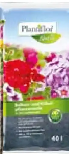 BayWa Bau & Garten Plantiflor Balkon- und Kübelpflanzerde Angebot