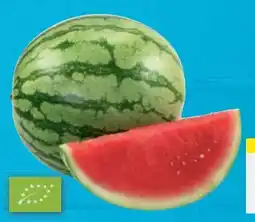 E-Center Bio-Mini-Wassermelone Angebot
